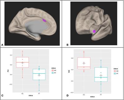 Psychiatric Symptomatology, Mood Regulation, and Resting State Functional Connectivity of the Amygdala: Preliminary Findings in Youth With Mood Disorders and Childhood Trauma